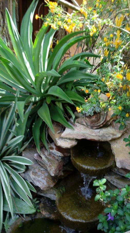 Eco Pousada Jardim Do Eden Alto Paraíso de Goiás Exteriör bild