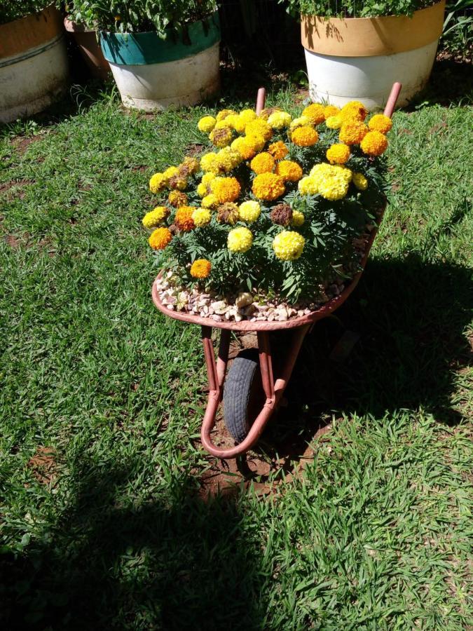 Eco Pousada Jardim Do Eden Alto Paraíso de Goiás Exteriör bild
