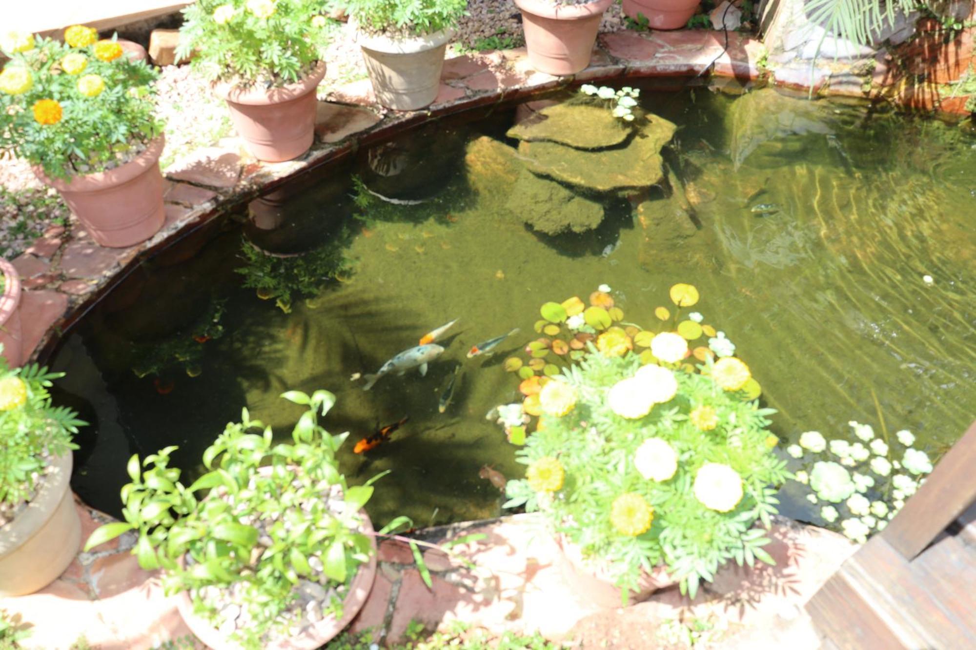Eco Pousada Jardim Do Eden Alto Paraíso de Goiás Exteriör bild