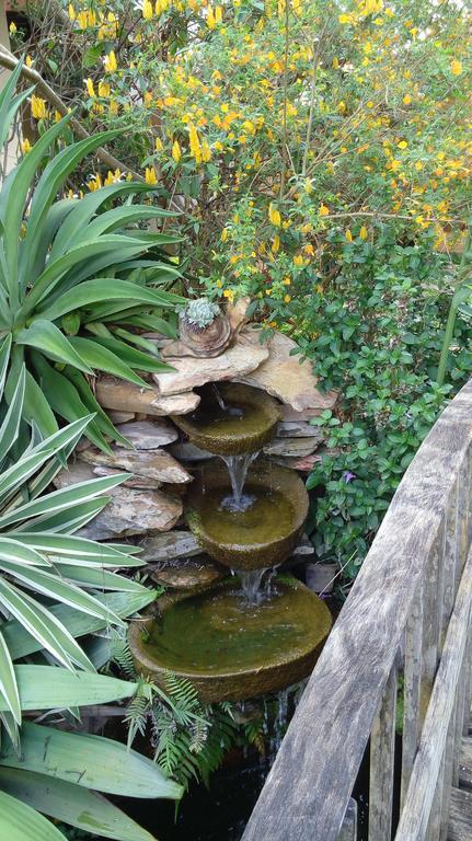 Eco Pousada Jardim Do Eden Alto Paraíso de Goiás Exteriör bild
